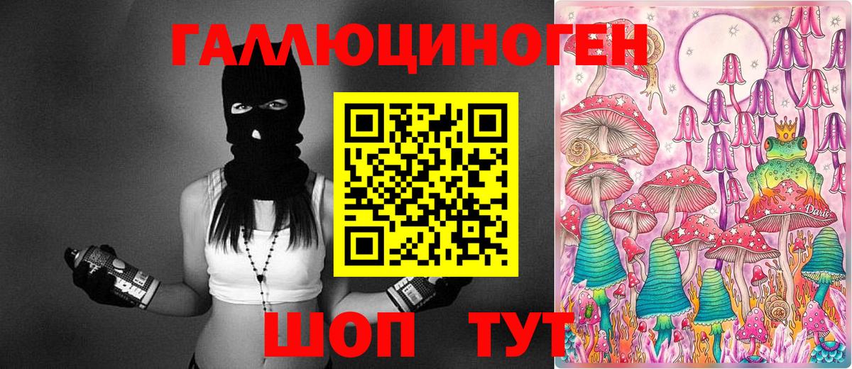 Фурманов  Псилоцибиновые грибы прущие грибы  Вход с VPN 